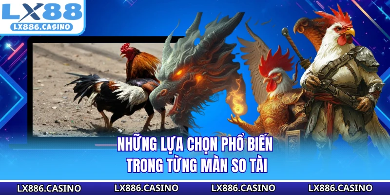 Những lựa chọn phổ biến trong từng màn so tài